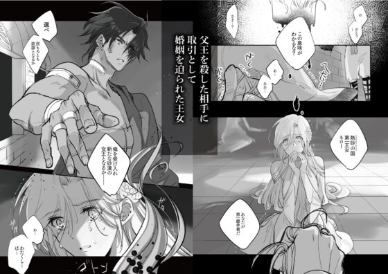 熱砂の女王 獅子の妻(前編) [ガラスの靴] | DLsite がるまに