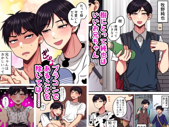 お兄ちゃんに食べられる [春卯稀] | DLsite がるまに