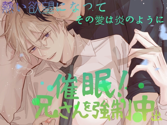 催眠!兄さんを強制中出 [SMALL~乐章] | DLsite がるまに