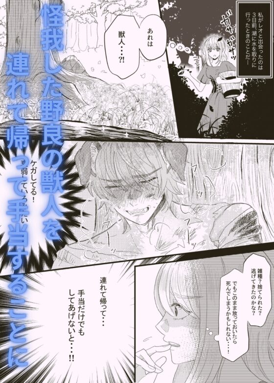 ひとりぼっちだった私が野良獣人に愛されてます [おさかな水族館] | DLsite がるまに