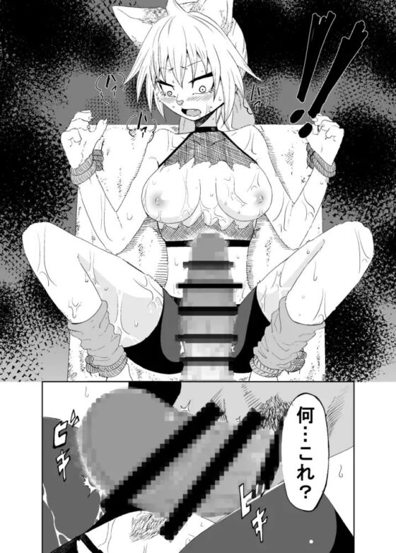 泥棒猫にはお仕置きを [道中の村] | DLsite 同人 - R18