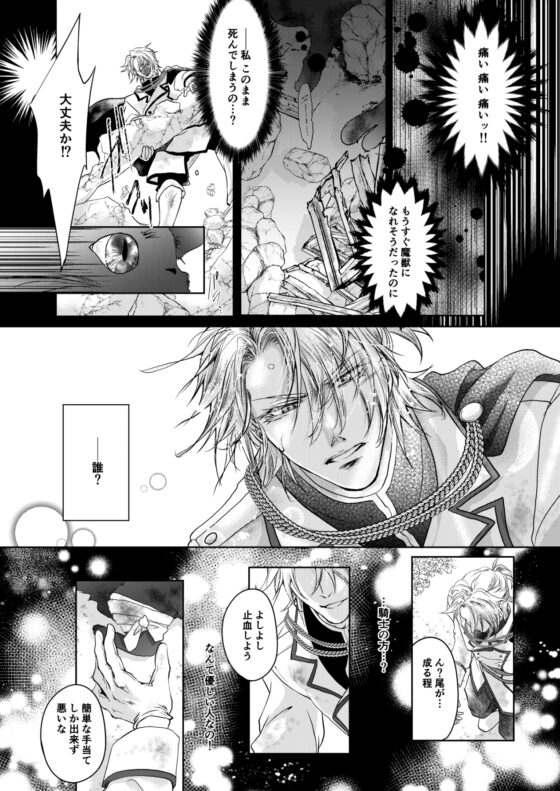 騎士様お慕いしております! [すずらんカフェ] | DLsite がるまに