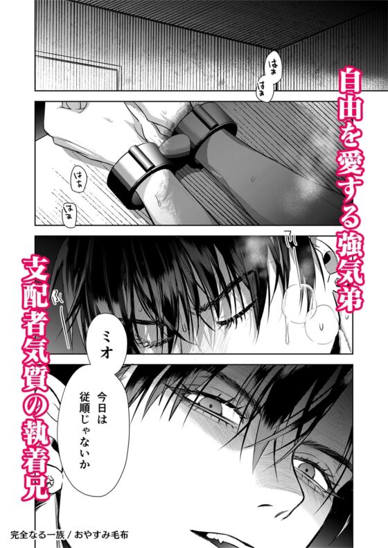 完全なる一族 [おやすみ毛布] | DLsite がるまに