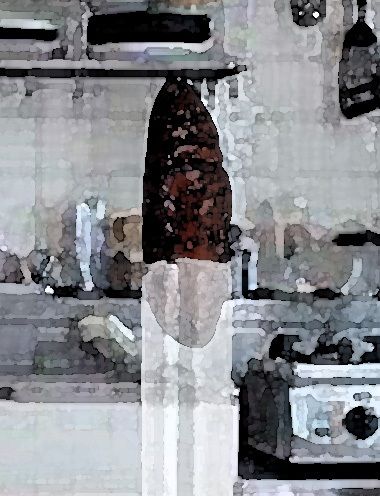 私の蟲姦遊び 17 話 妊娠中にスズメガのサナギ編(シングルママの日常) - FANZA同人