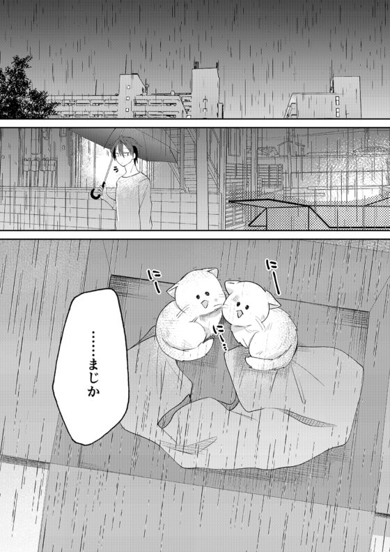 返品うさぎ3-私、お母さんになります!?- [とこのま] | DLsite 同人