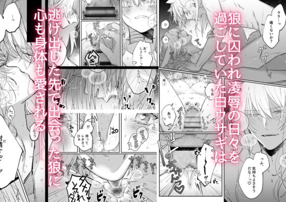 脱兎は狼の愛を知る [綺羅綺羅の日] | DLsite がるまに