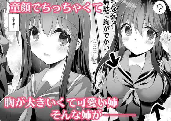 ロリ巨乳お姉ちゃんにおっぱいマッサージとえっちなこと(ARC) - FANZA同人