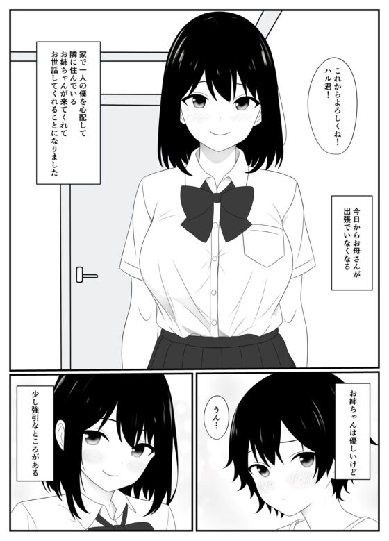 巨乳お姉ちゃんとあまあまセックス(うさぎコーヒー) - FANZA同人