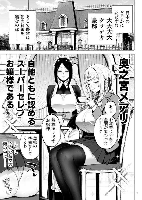 それゆけ、エロバカお嬢様! 〜セレブの私がデカチン庶民を手籠めにするのは当然です!〜
