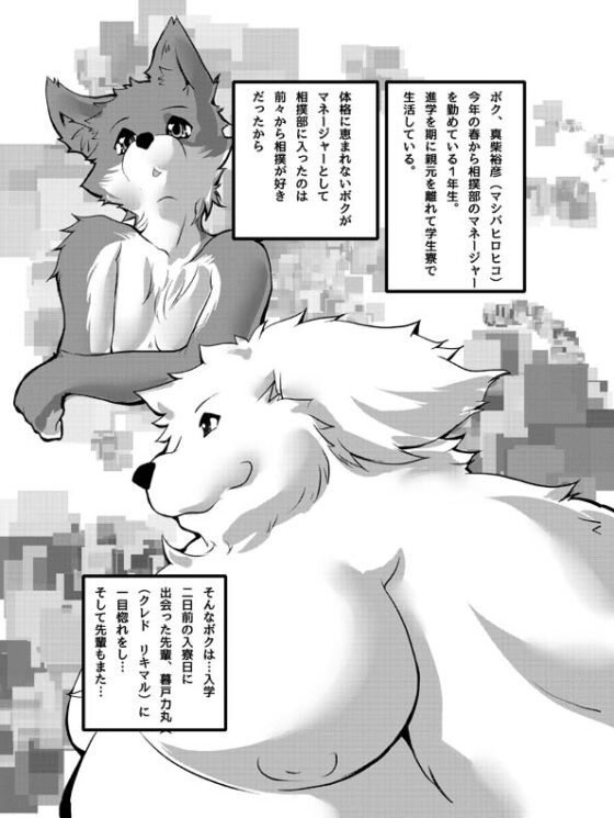 SWEETIE [智也] | DLsite がるまに