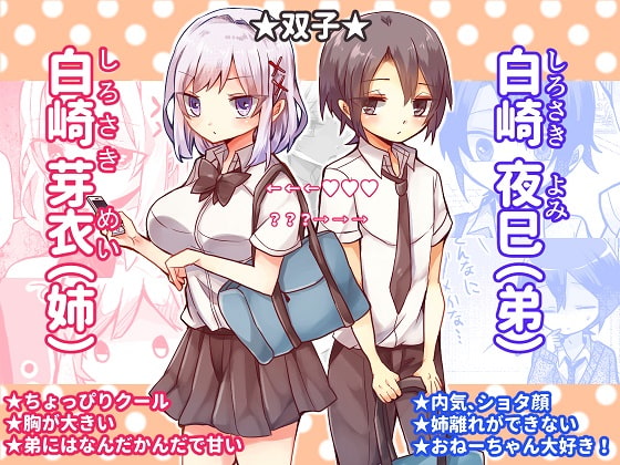 僕と姉の×××。 [プラスカゼット] | DLsite がるまに