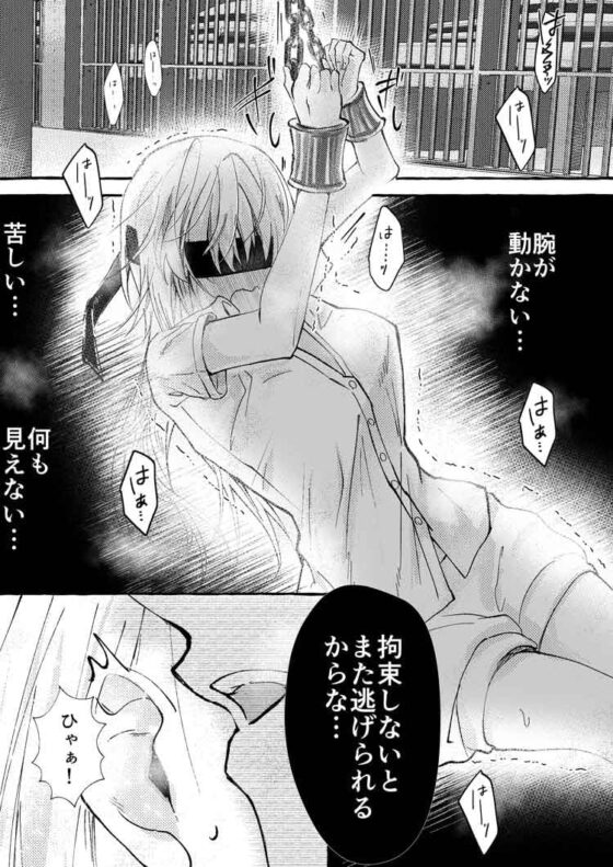 裏夢読みたいだけなのに…裏パス間違えたら嫌われ夢主狂愛ヤンデレ短編激裏に異世界転生した件 [ちのわるど] | DLsite がるまに