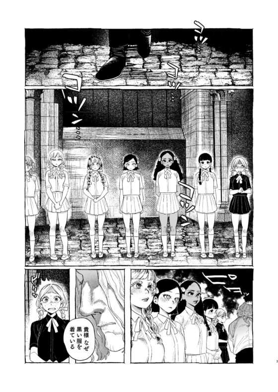 Dracula~快楽迷獄~ [Mauve] | DLsite がるまに