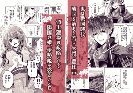 戦獄色語1 姫の巻～愛する姫が凌辱されたので、お清めする話～ [tori sumika] | DLsite がるまに