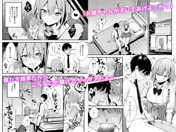 お姉ちゃんがエッチなコトばっかするから... [かく恋慕] | DLsite 同人 - R18