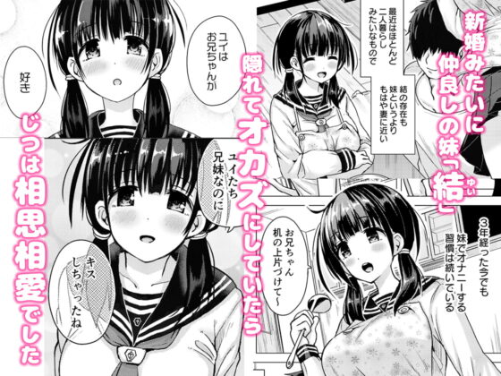 正妻力の高い7つ下の妹と既成事実をつくる本 [ほとりぼっち] | DLsite 同人 - R18