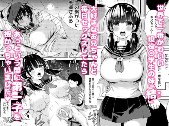 妊孕性の高い7つ下の妹と2人めを拵える本 [ほとりぼっち] | DLsite 同人 - R18