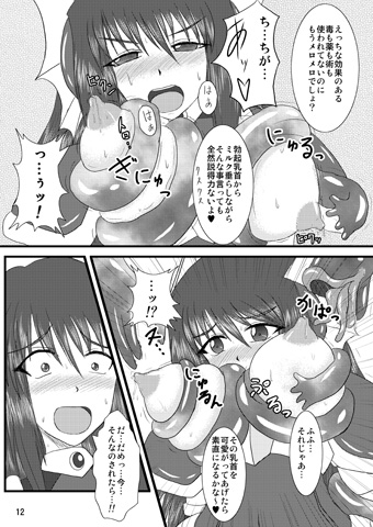 煌盾装騎エルセイン Vol.2 