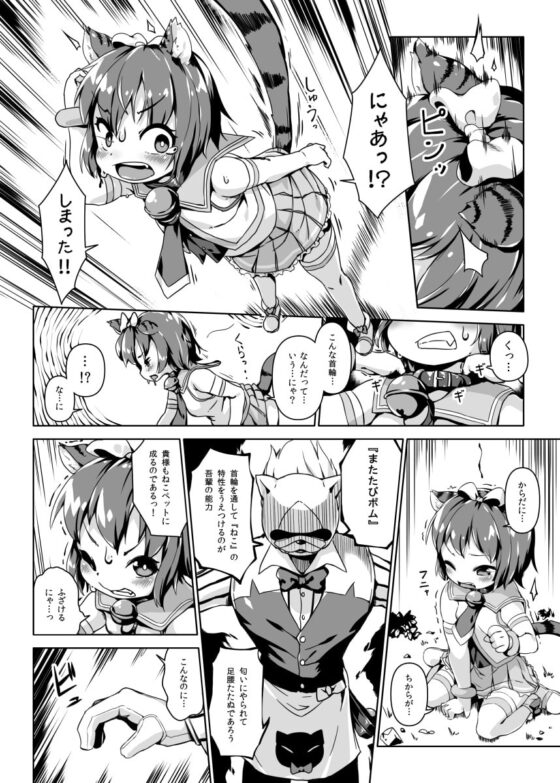 ねこ堕ちシャインフェアリーズ [ななめ班] | DLsite 同人 - R18