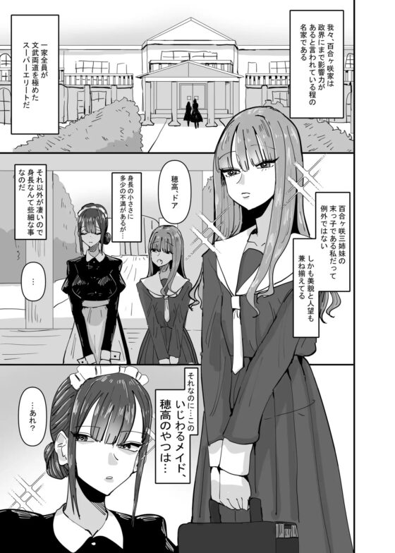 いじわるなドSメイドをわからせたいお嬢様の話 [アウェイ田] | DLsite 同人 - R18