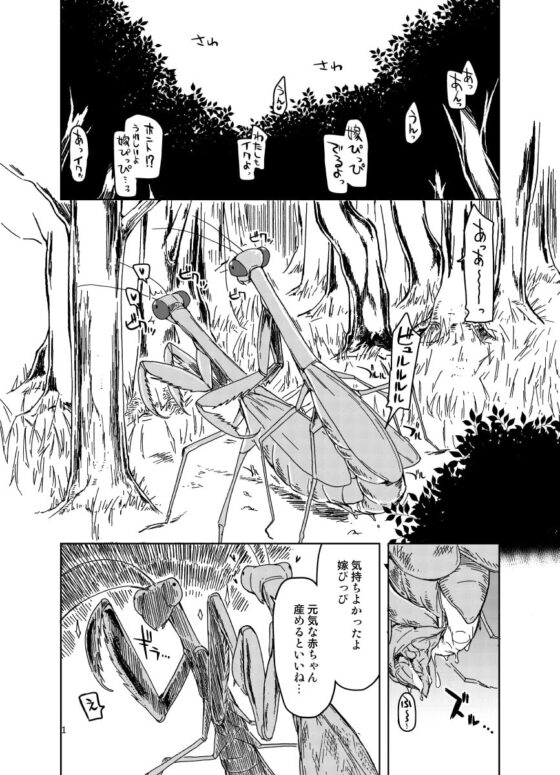 ドスケベエルフの異種姦日記 まとめ2 [めたもる] | DLsite 同人 - R18