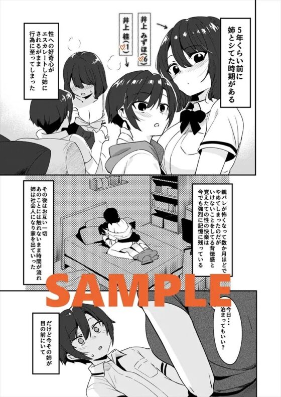 昔してた姉弟 [nemuke?] | DLsite 同人 - R18