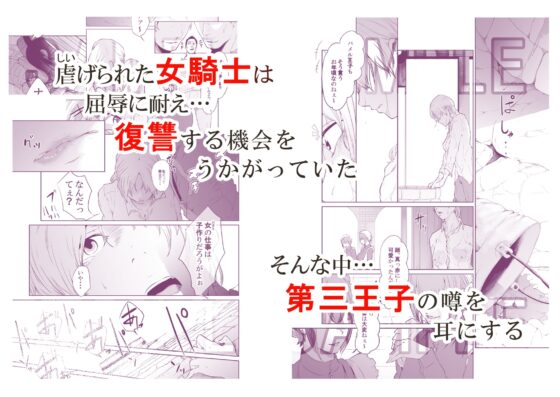 女騎士のはかりごと [モノクロイド] | DLsite 同人 - R18