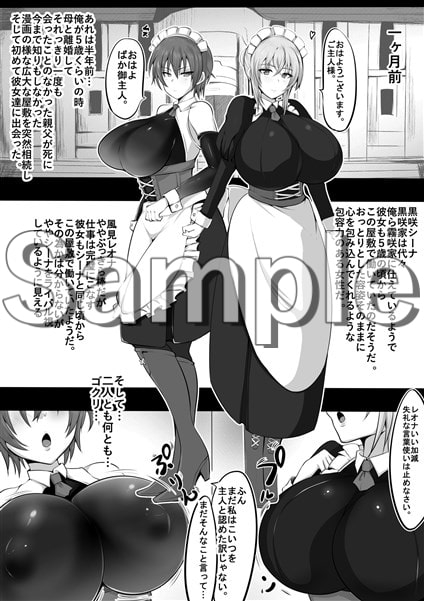 メイドラレ [猫八営業部] | DLsite 同人 - R18