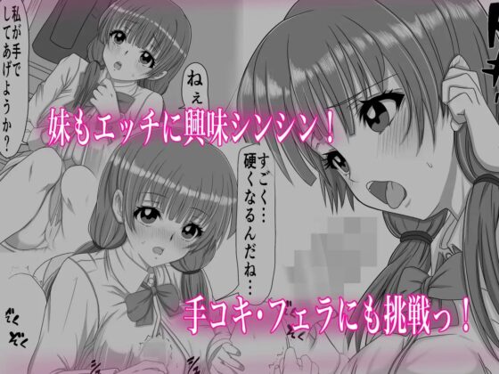 あにといもうと×きんしんそうかん [ミルクレープ] | DLsite 同人 - R18