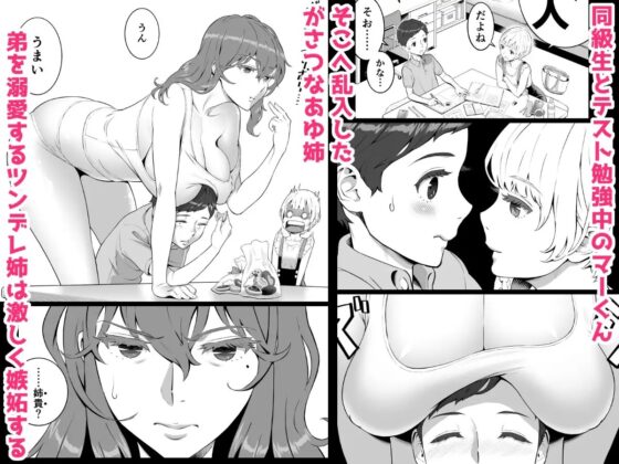 あゆ姉こっち向いて2 [RED Paprika] | DLsite 同人 - R18