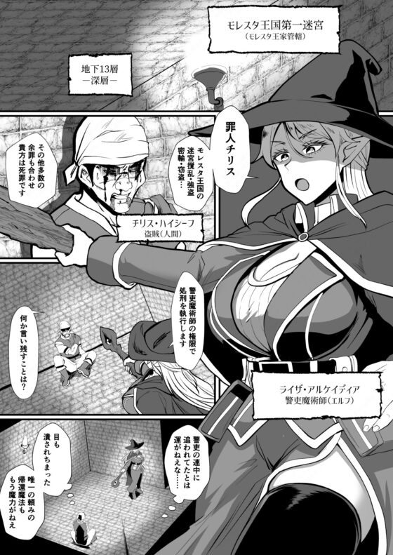 入れ替わりの罠～エルフ魔術師ライザの帰還～ [ホテル試金石] | DLsite 同人 - R18