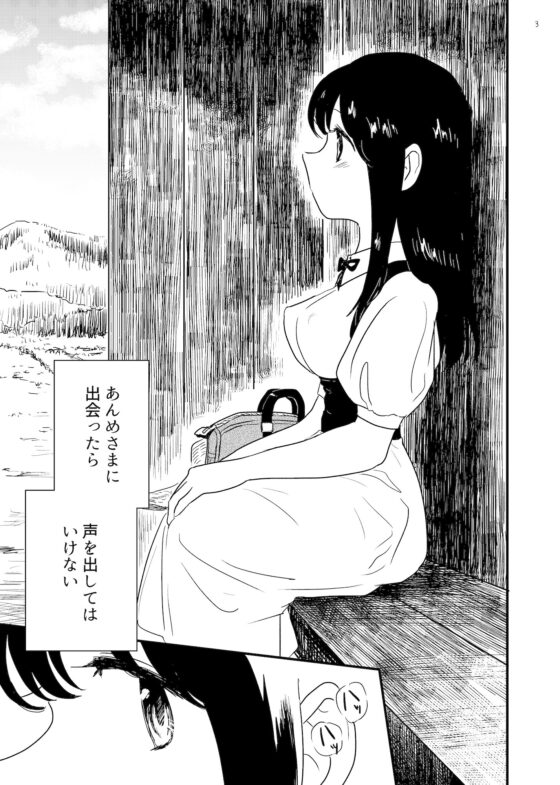 あんめさま [グースカピヨピヨ] | DLsite 同人 - R18