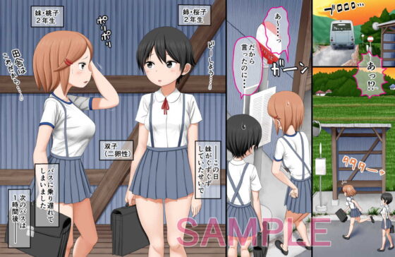 異怪嫁入奇譚～学校帰りに異界に迷い込んで怪物たちに色々されちゃった姉妹の話～ [AIM] | DLsite 同人 - R18