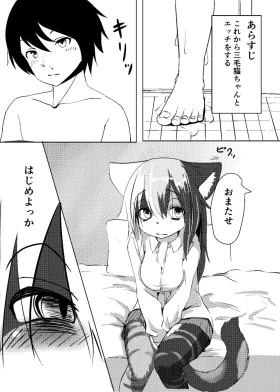 あそびネコ [採掘基地] | DLsite 同人 - R18