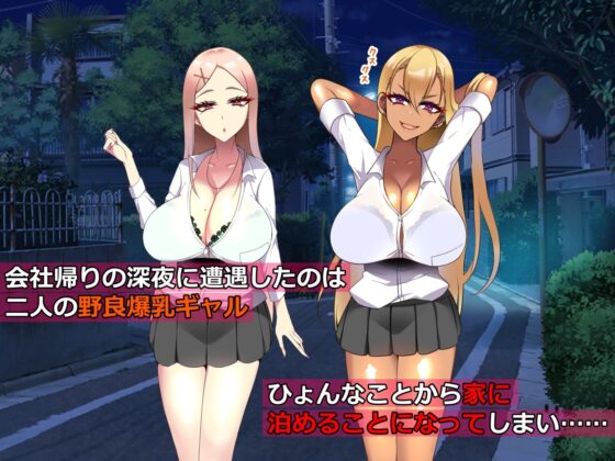 野良ギャルに家に住みつかれたら人生が一変した話(とろにくゆっけ) - FANZA同人
