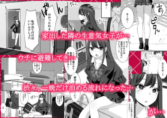 隣の生意気女子がウチを‘避難所’にして入り浸るので…。(ランジェリーガール) - FANZA同人