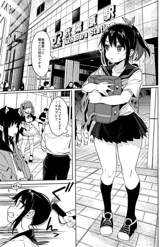 美少女痴●で性教育2(みくろぺえじ) - FANZA同人