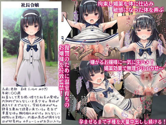 【購入者特典付！】お嬢様監禁媚薬レ●プ 〜ブラック企業の社畜が復讐のため社長の娘を専用オナホールにして孕ませた話〜(Sage) - FANZA同人