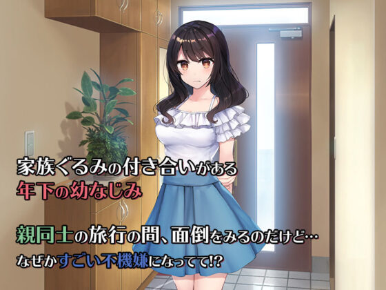 両親が旅行でいない二日間、年下のツンデレ巨乳な幼なじみと欲望剥き出しでハメまくった話。(すいのせ) - FANZA同人