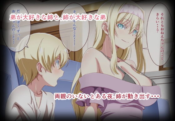 とにかく弟と一線を超えたかったお姉ちゃんの話(あわこと屋) - FANZA同人