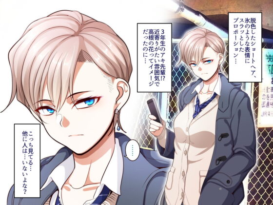 学園サポ日記4 無表情アキ先輩＆日焼け太眉ヤナギ先輩編(B.B.T.T.) - FANZA同人