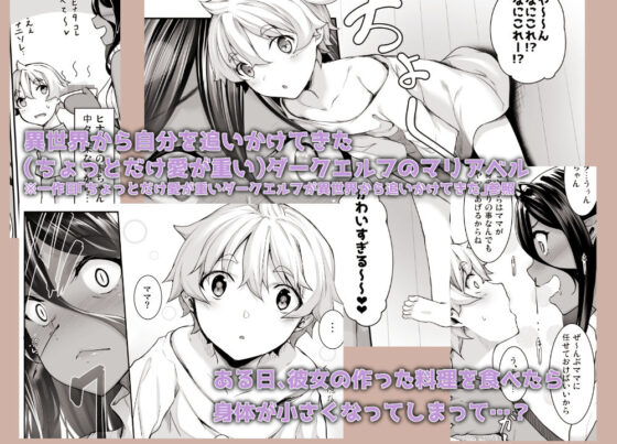 ちょっとだけ愛が重いダークエルフが異世界から追いかけてきた3(In The Sky) - FANZA同人