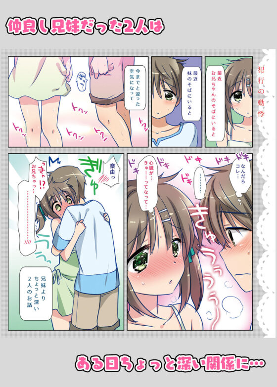 お兄ちゃんは犯罪者総集編1＋2(アクアドロップ) - FANZA同人