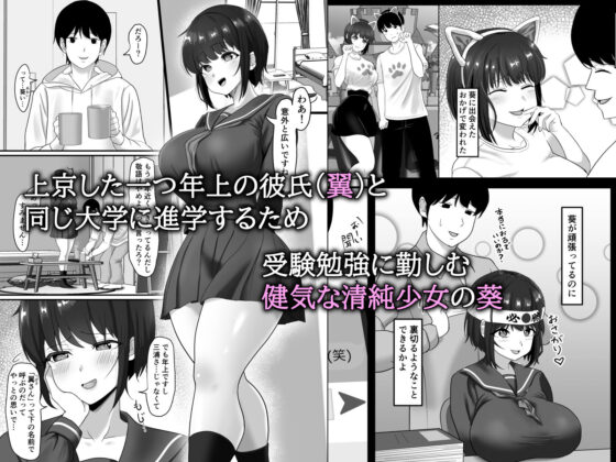 堕ち無垢〜遠距離恋愛中の清純彼女がチャラ男に汚される話〜(ソーラーぱぷりか) - FANZA同人