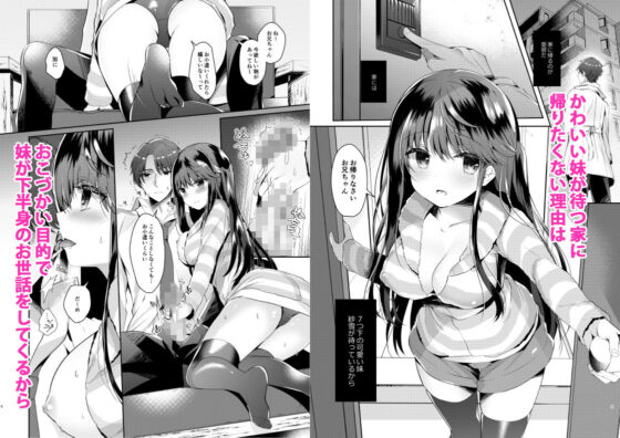 ビッチな小悪魔紗雪ちゃん お兄ちゃんに兄活中(純銀星) - FANZA同人