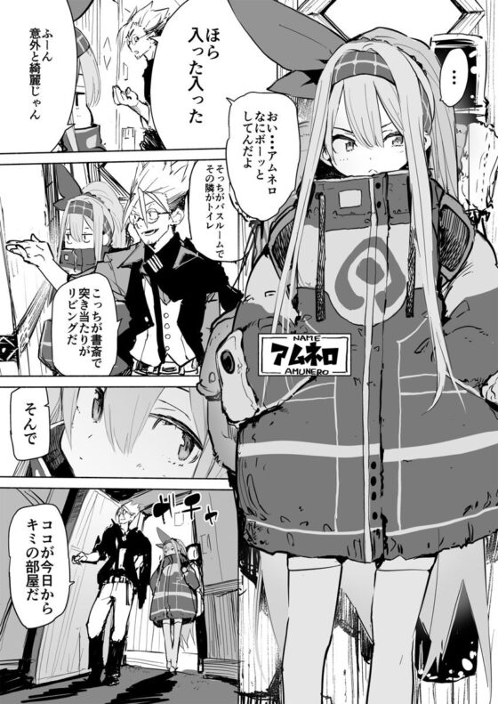 AMNERO(ひょこ道) - FANZA同人