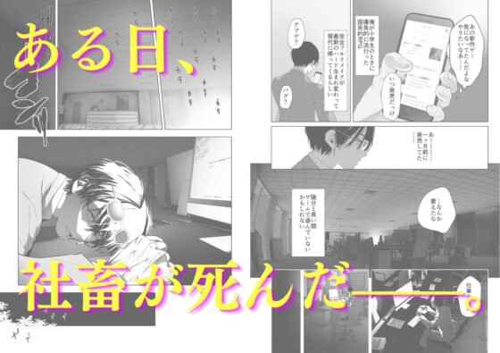 異世界転生したらふたなり勇者様だった件(来世はふたなり美少女) - FANZA同人