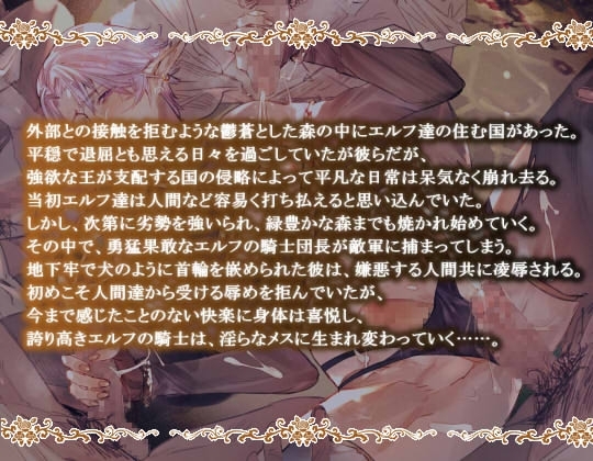 騎士だけどち●ぽに負けてふしだらなメスになった件 [sweet.X.T.C] | DLsite がるまに