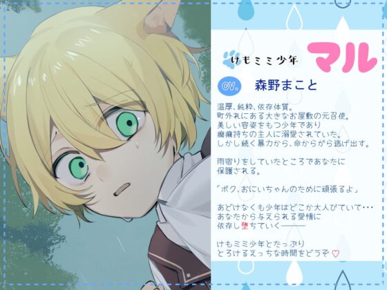 けもミミ少年のコイビト [べるちっく] | DLsite がるまに