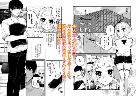 少女の下僕は女装癖を纏う(ヒダリミギ) - FANZA同人